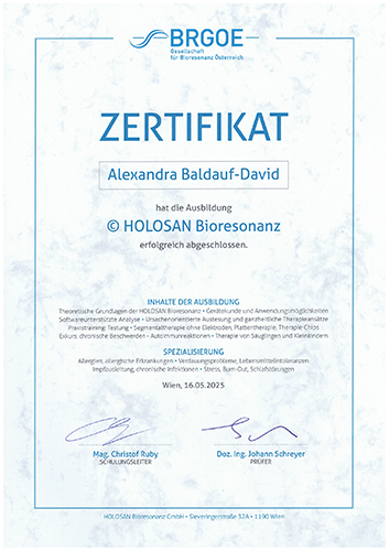 Holosan Bioresonanz Akademie Diplom